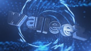 Intro #240 | Walleez