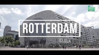 From Nasik To Netherlands