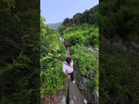 💦 Chamber Waterfall Shahdara | Hidden Gem Near Islamabad 🌿
