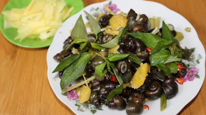 1. Giới Thiệu Về Ốc Gạo