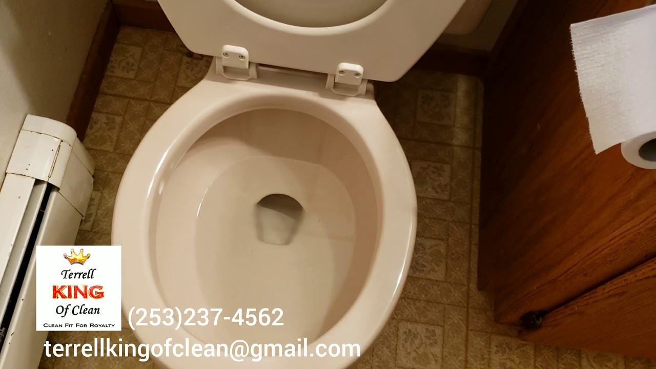 1 Cleaning service in the world! (Terrell King of Clean 2020) YouTube