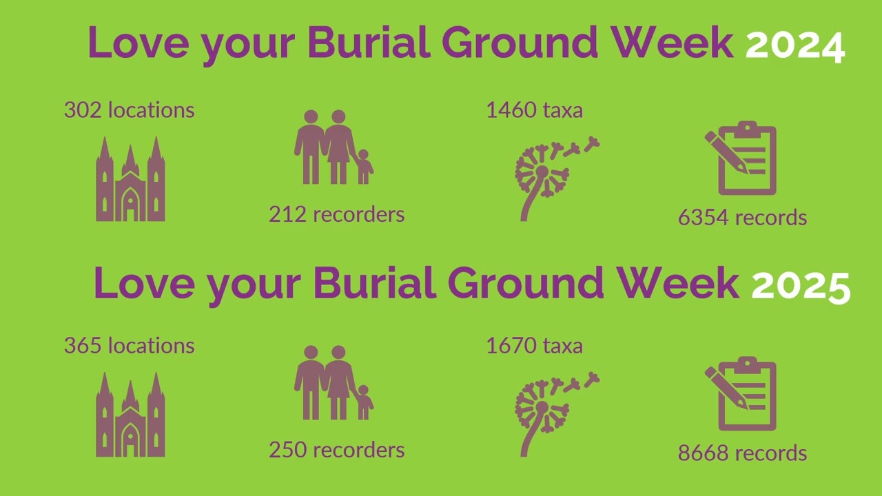 Biological Recording in Burial Grounds 2025