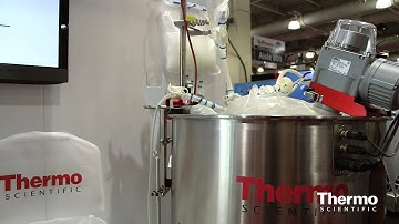 Expert Insight - Millie Ullah - Bioprocessing Workflow Solutions