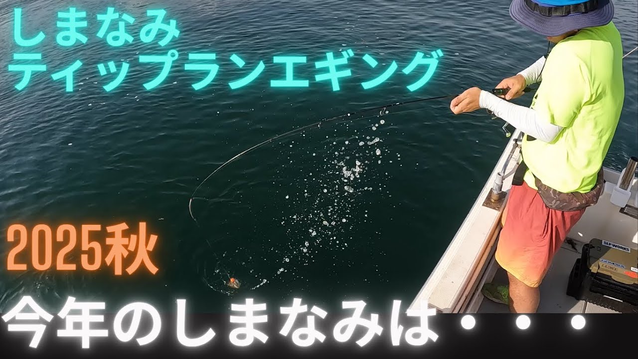 【ティップランエギング】今年のしまなみティップランエギングは・・・