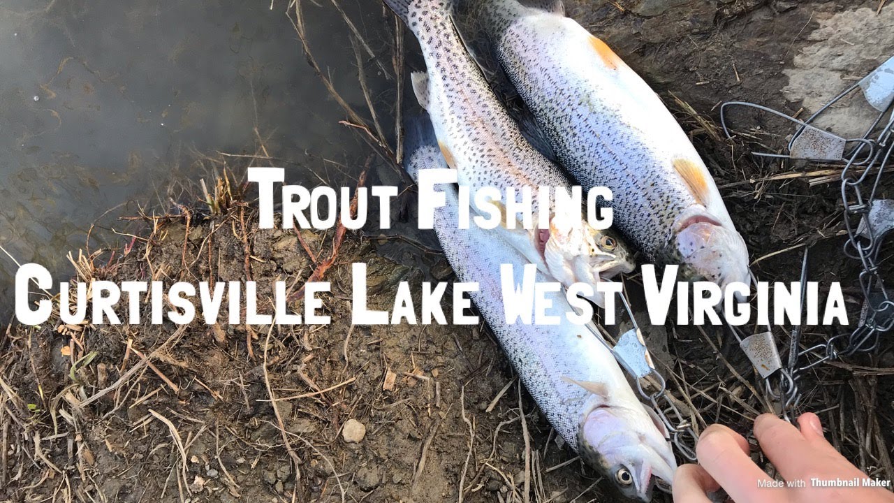 Trout Fishing 5 Curtisville Lake West Virginia YouTube