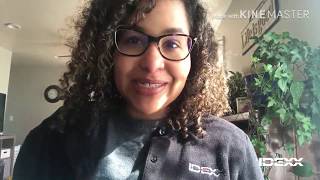 JA Career Speaker Series - Virtual: Christina Michaud, Project Manager at IDEXX