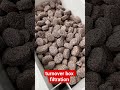 turnoverbox filtration #relaxingmusic #aquascapelowtech #aquascape #fishtank #fishaquarium #aquarium