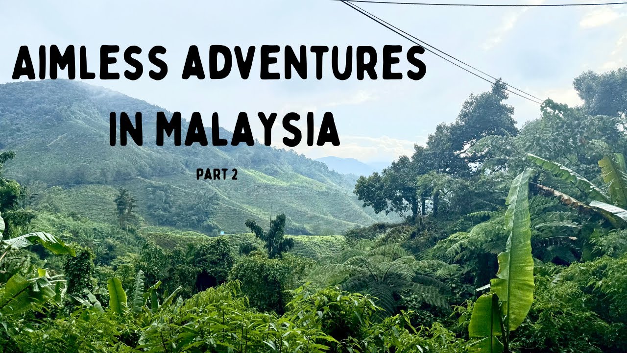 Бесцельные приключения в Малайзии — часть вторая — Куала-Лумпур и Камерон-Хайлендс