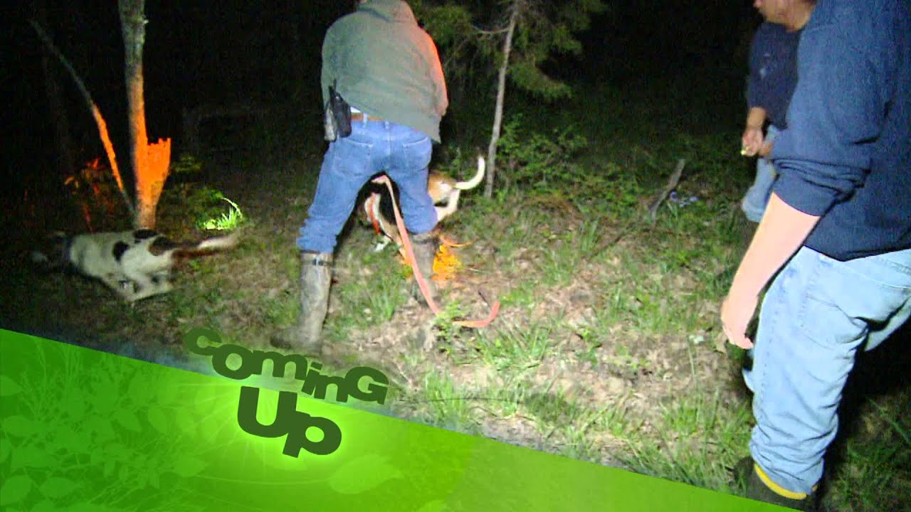 radioactive This Week on Kentucky Afield