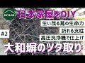 ウッドフェンスのツタ取り｜大和塀にはびこる雑草をハサミと高圧洗浄機で除去｜中古住宅再生リノベ【古民家DIY#2】