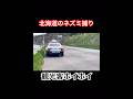 【北海道のネズミ捕り‼️観光客は皆コレにやられる】