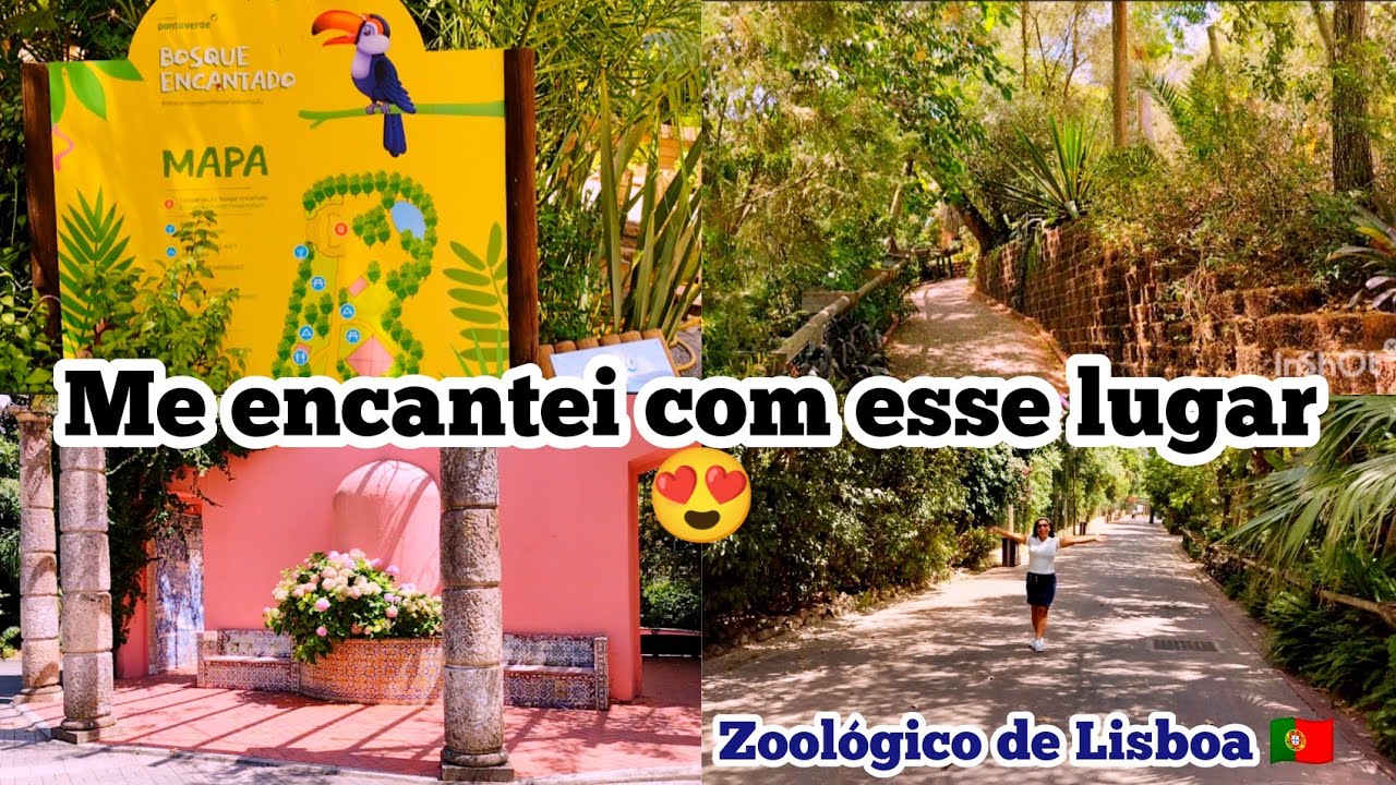 Bosque Encantado no Zoológico de Lisboa 🇵🇹 EP. 134 YouTube
