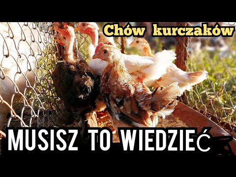 Proces Wypłaty Krok po Kroku