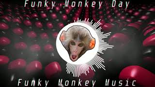 Funky Monkey Day (Official Visualizer)
