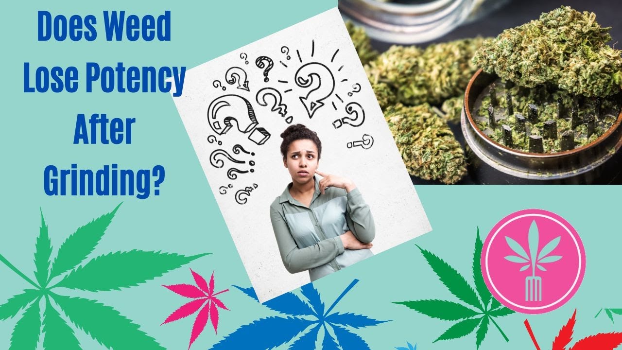 Does Weed Lose Potency After Grinding?