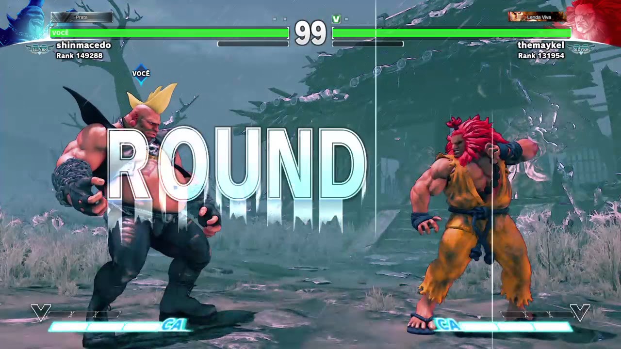 Street Fighter V Birdie (Br) x Akuma (Br)