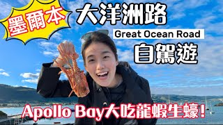 墨爾本大洋洲路自駕遊⎮Great Ocean Road⎮阿波羅灣Apollo Bay