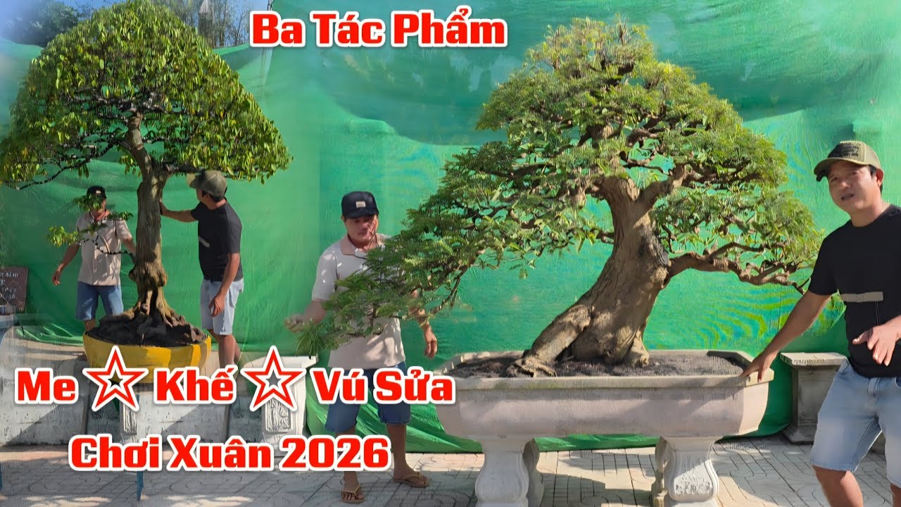 Ba Tác Phẩm Thành Phẩm Me - Khế - Vú Sửa Chơi Xuân 2026