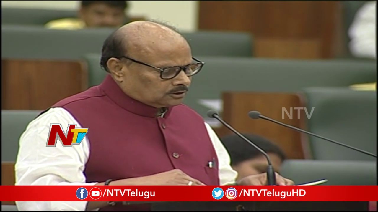 Finance Minister Yanamala Ramakrishnudu About BC Corporation Budget || AP Budget 2019 || NTV
