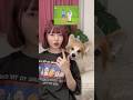 ぐっぼいくん🐶 #コーギー #ぐっぼい #tiktoktrend