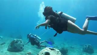 Scuba Diving Cozumel, Mexico - September, 2019 Royal Caribbean Harmony of the Seas Cruise