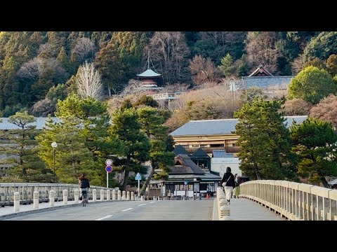 2026年2月17日(火) 冬の朝の京都嵐山🌅Winter morning in Arashiyama, Kyoto
