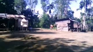 Pomio. Patele clip