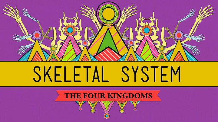 The Skeletal System: It's ALIVE! - CrashCourse Bio...