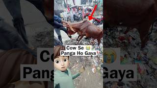 Cow Rescue Gone Crazy 🫪