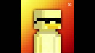 Top 5 Teamcool Members