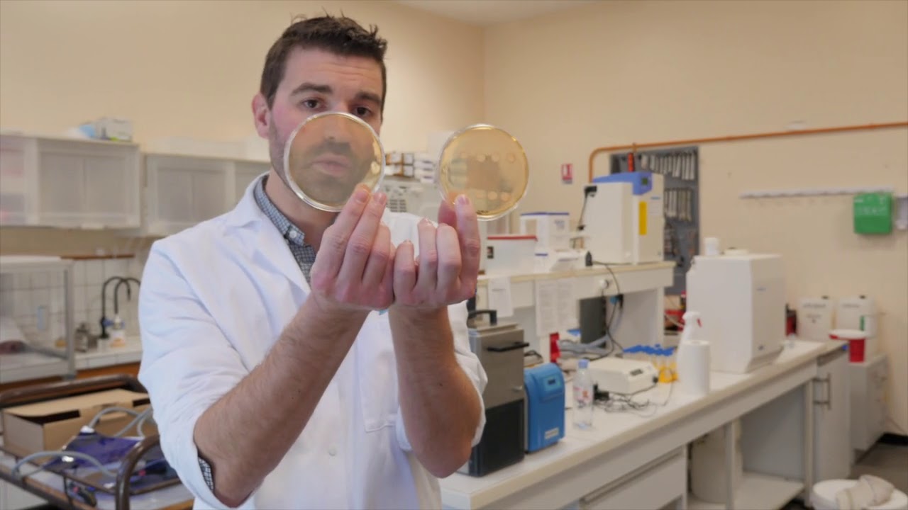 Comprendre les moisissures alimentaires pour mieux les contrôler