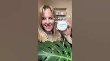 How to create music from plants