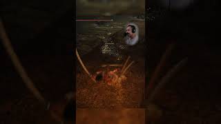 Pov You Enter The First Legacy Dungeon In The Elden Ring Dlc And Its Just Spiders