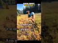Ranking funniest gravity fail moments 🤣 #shorts