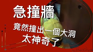 2019回顧白沙屯媽祖突然衝入民宅牆壁撞出一個大洞006