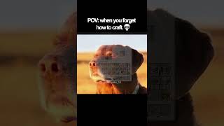 Pov When You Forget How To Craft