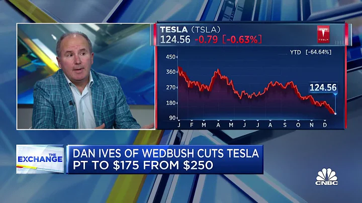 Elon Musk's Twitter drama has been 'nightmare on Elm Street' for Tesla investors, say Dan Ives