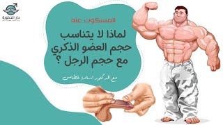 لماذا لا يتناسب حجم العضو الذكري مع حجم الرجل ؟!! المسكوت عنه \ مع الدكتور اسامة غطاس