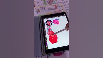 Digital Notebook & Sticker Notes for Nursing Students | Study Tools & Nursing Planner Ideas