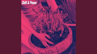 Spirited Music for Light Silence