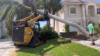 Machinery Compilation! Forestry Mulching, Excavation, Stump Grinding and Skid Steer Work! Enjoy 😊 by Alex Catalina 854 views 1 year ago 27 minutes