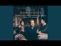 Miniature de la vidéo de la chanson Trio For Horn, Violin And Piano No. 1 In C Minor : I. Adagio - Cantabile