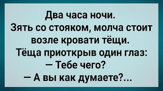 Как Зять Ночью Над Тещиной Кроватью Стоял! Сборник Свежих Анекдотов! Юмор!