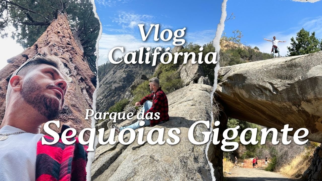 Conheça as Sequoias Gigantes da Califórnia.