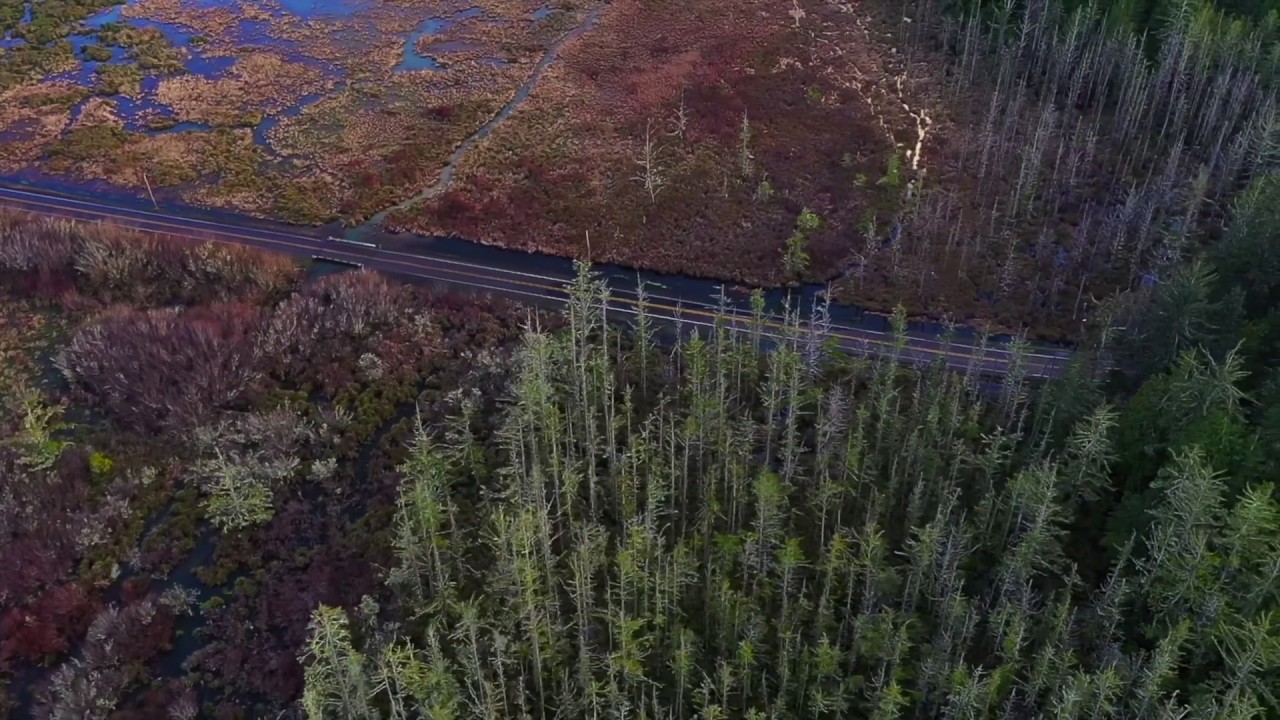 Aerial Footage of East Devil’s Lake Road Flooding YouTube