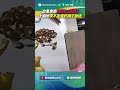 台東6.1強震