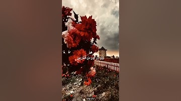 قرأن كريم - حالات واتس اب - القارئ أحمد النفيس