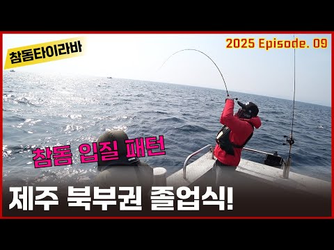 참돔타이라바 - 제주 북부권 졸업식! (입질 패턴 공유)