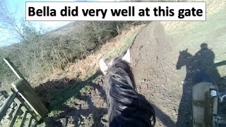 Bella's getting fitter, we cantered part way up Heart Attack Mountain & she did the gate well 😃