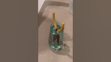 MUST SEE HACK TO REMOVE RUST FROM TOOLS